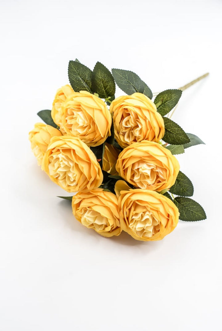 Yellow Cabbage Rose Bush - Greenery Market35133YW
