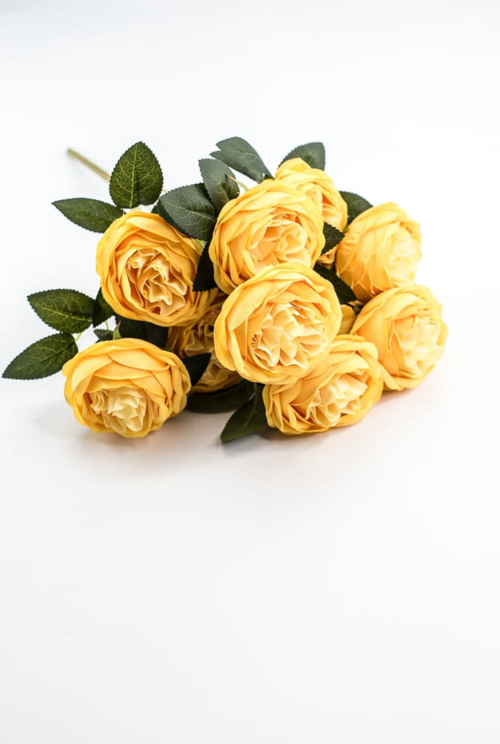 Yellow Cabbage Rose Bush - Greenery Market35133YW