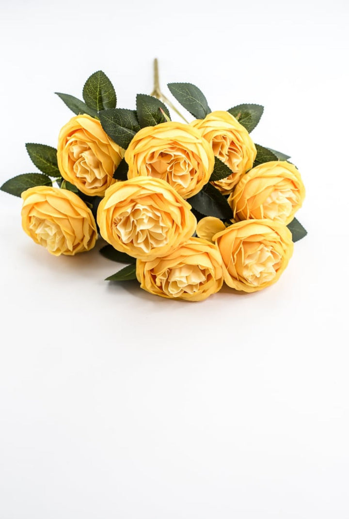 Yellow Cabbage Rose Bush - Greenery Market35133YW
