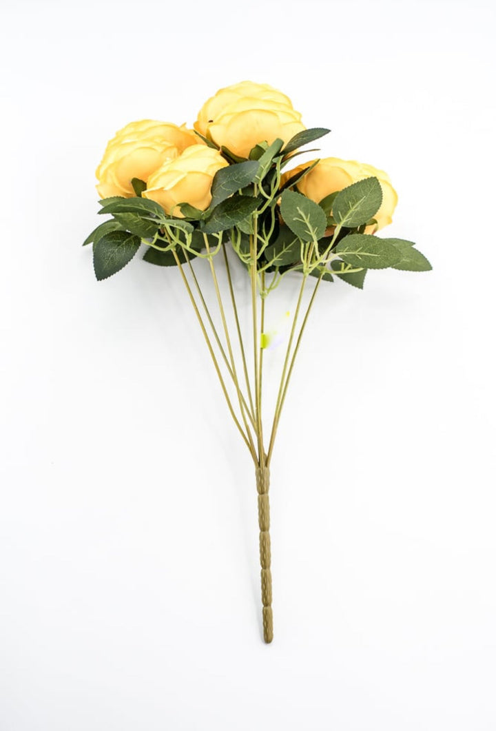 Yellow Cabbage Rose Bush - Greenery Market35133YW