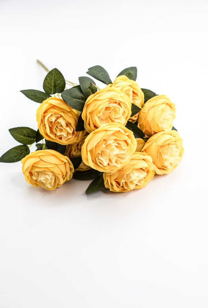 Yellow Cabbage Rose Bush - Greenery Market35133YW