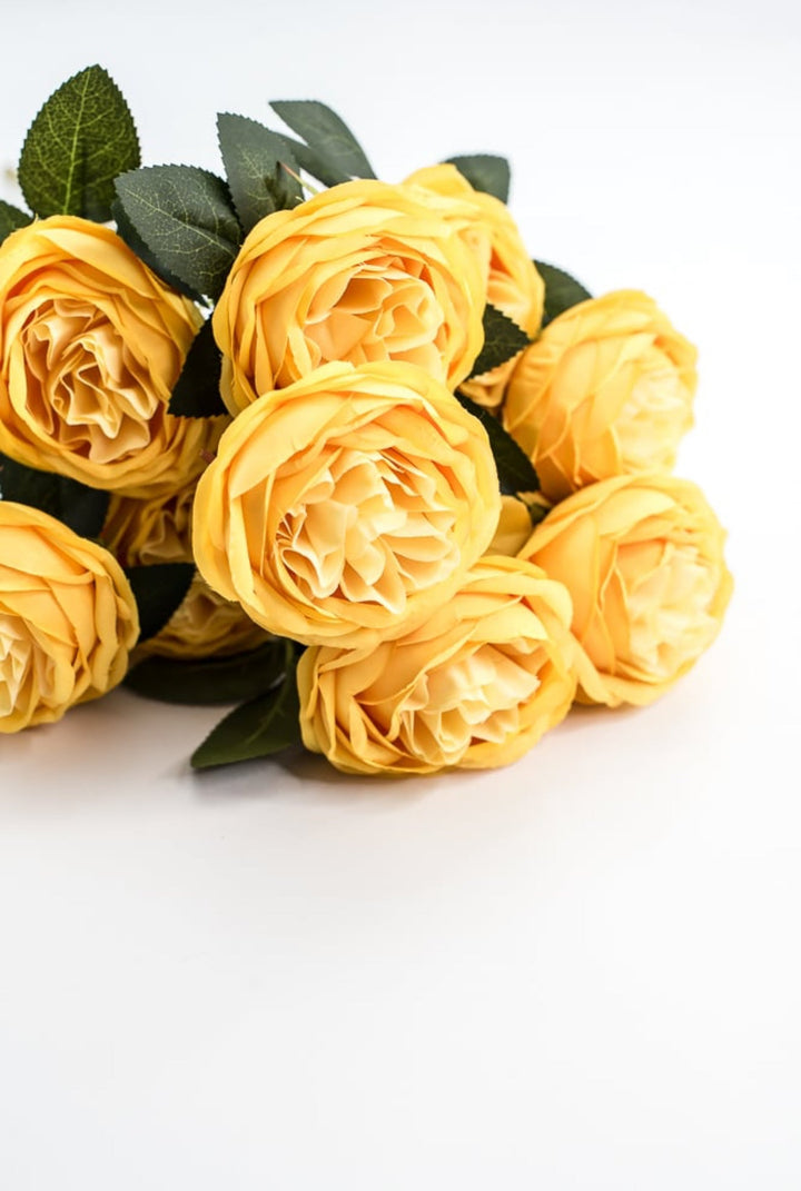 Yellow Cabbage Rose Bush - Greenery Market35133YW