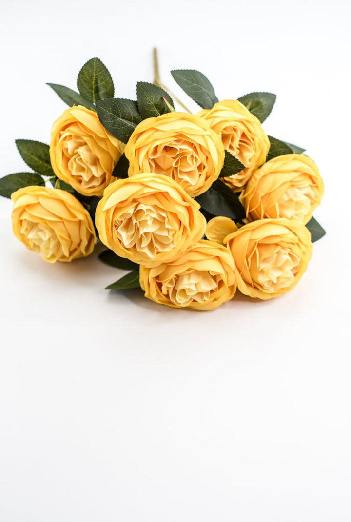 Yellow Cabbage Rose Bush - Greenery Market35133YW