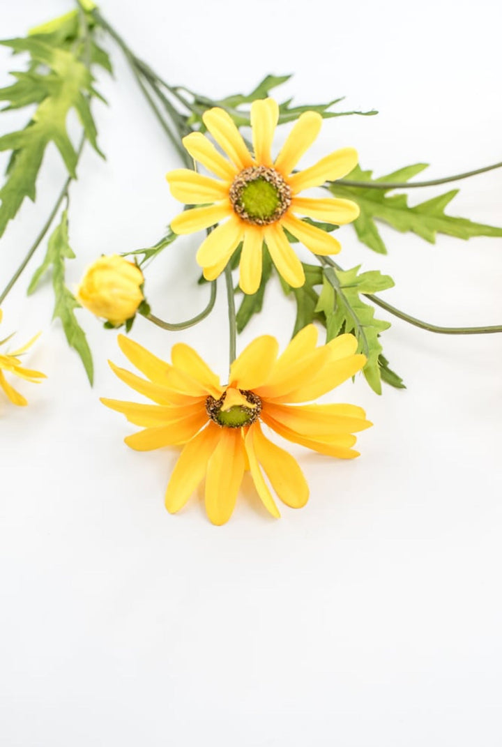 Yellow Daisy Flower Spray - Greenery Market29468YW