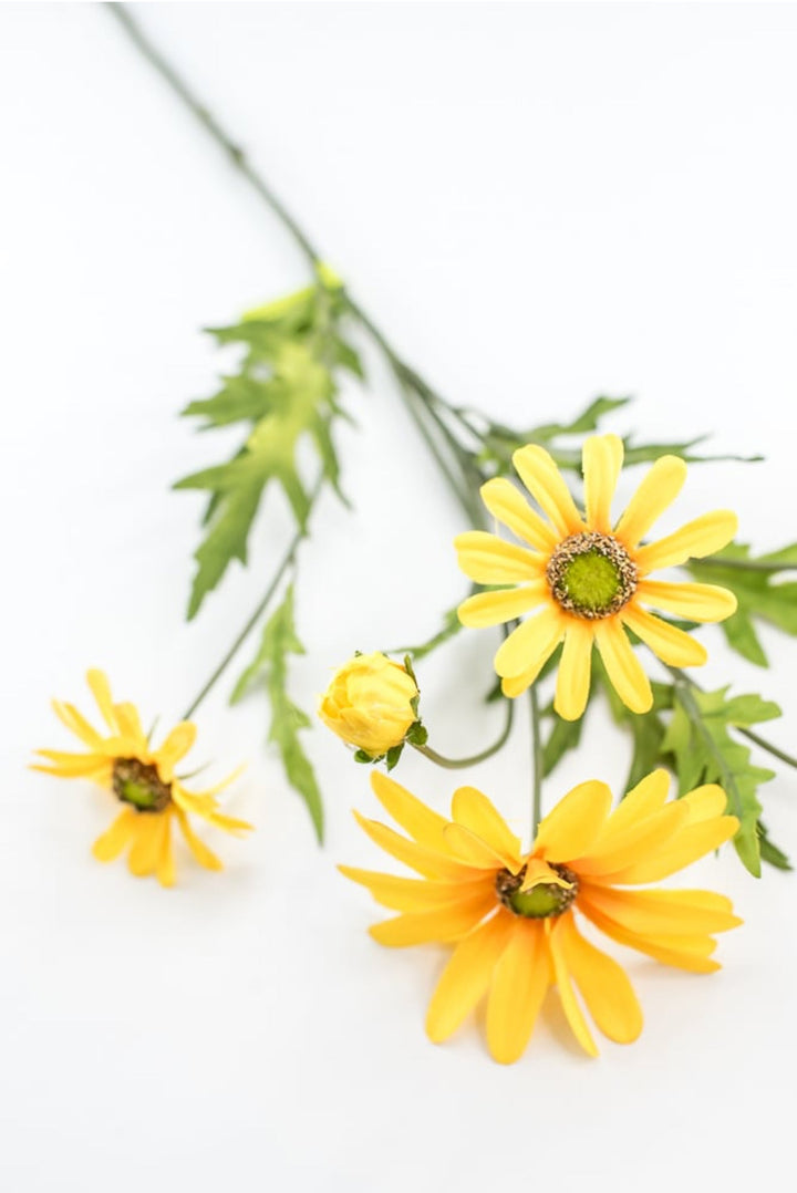 Yellow Daisy Flower Spray - Greenery Market29468YW