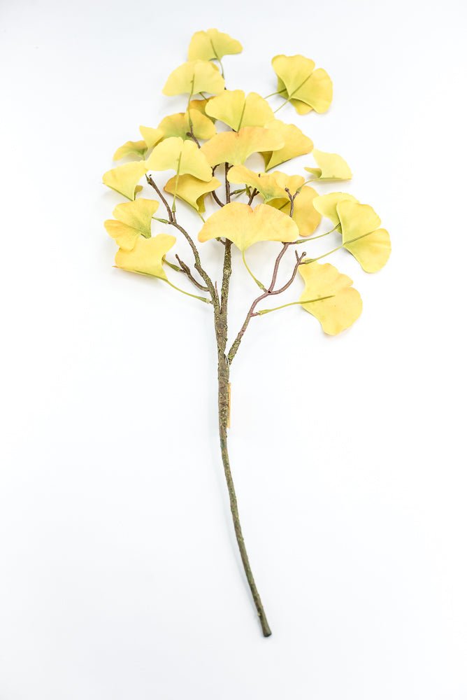 Yellow Green Ginkgo Spray - Greenery Market211472