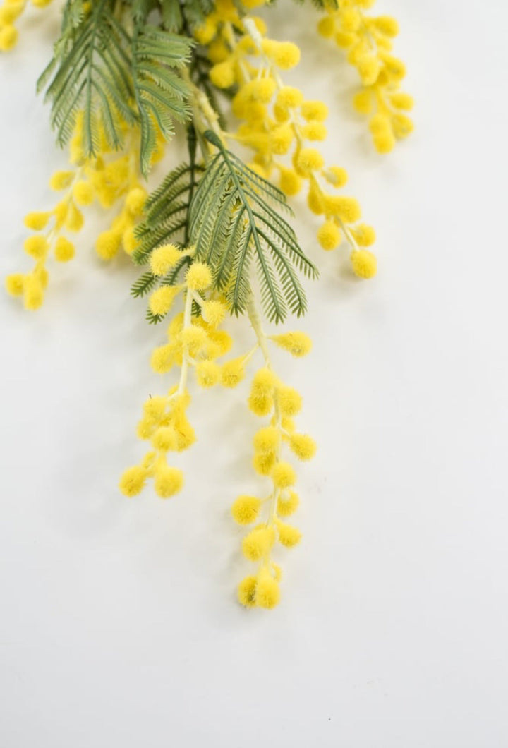 Yellow Mimosa Spray - Greenery Market4889 - y