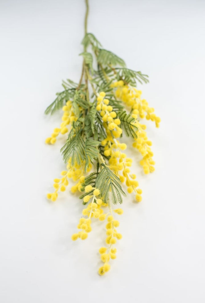 Yellow Mimosa Spray - Greenery Market4889 - y