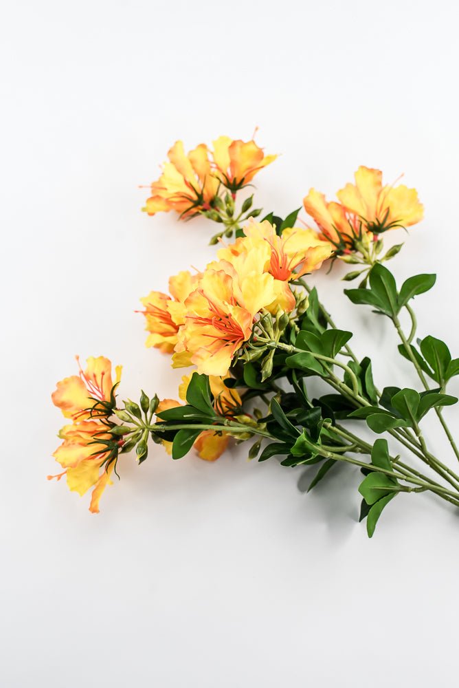 Yellow Orange Delonix Bush - Greenery Marketartificial flowers28411
