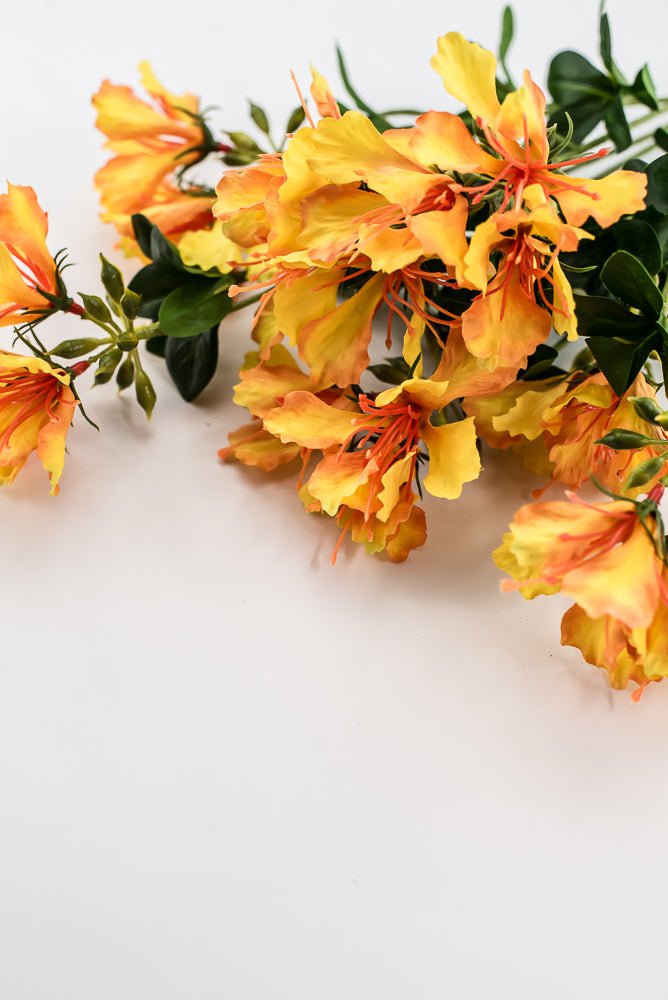 Yellow Orange Delonix Bush - Greenery Marketartificial flowers28411