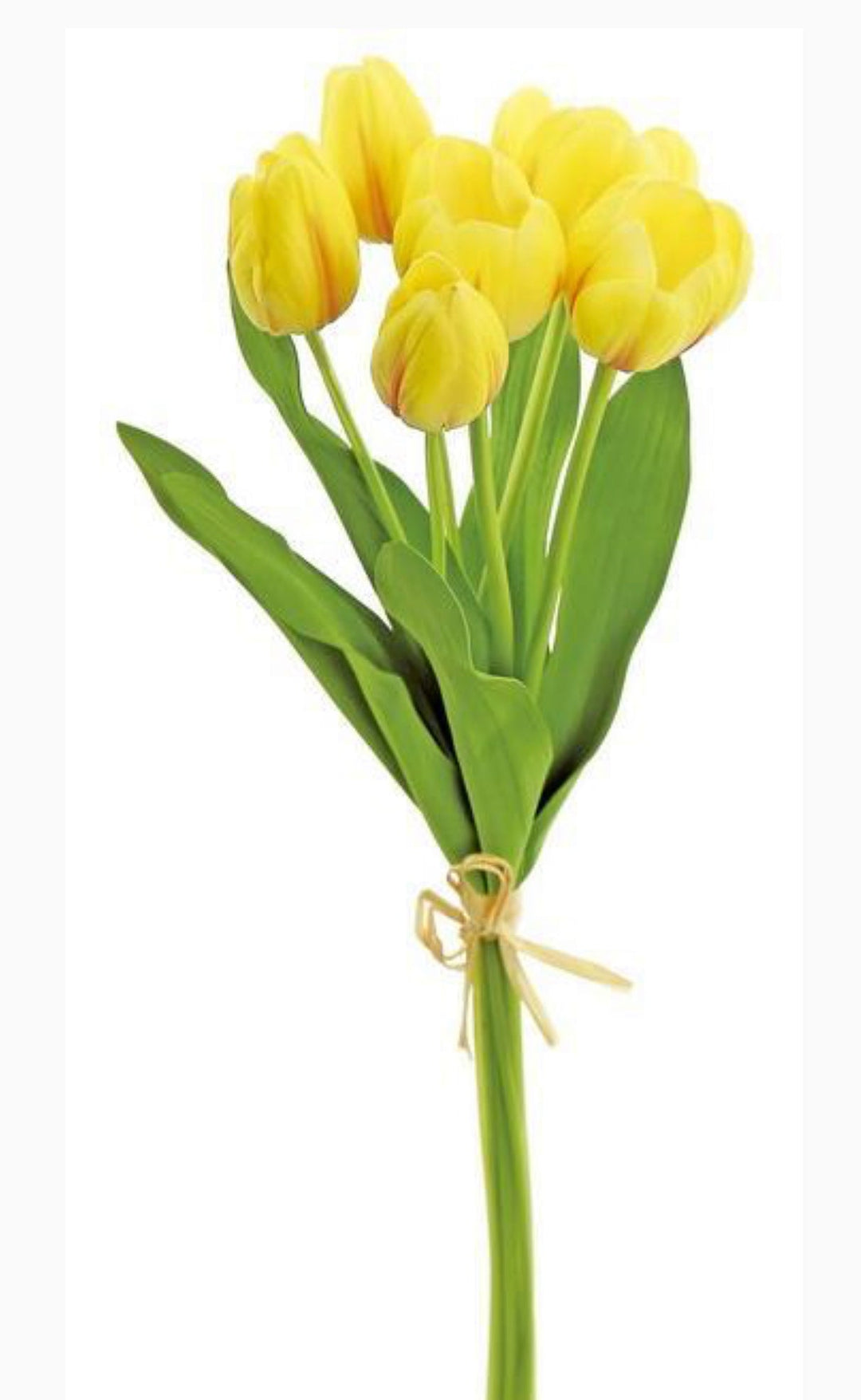 Yellow real touch tulip bundle - Greenery Market3876 - YCER
