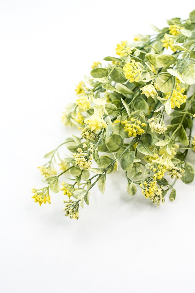 Yellow, Sedium Filler Bush - Greenery Market13635YW