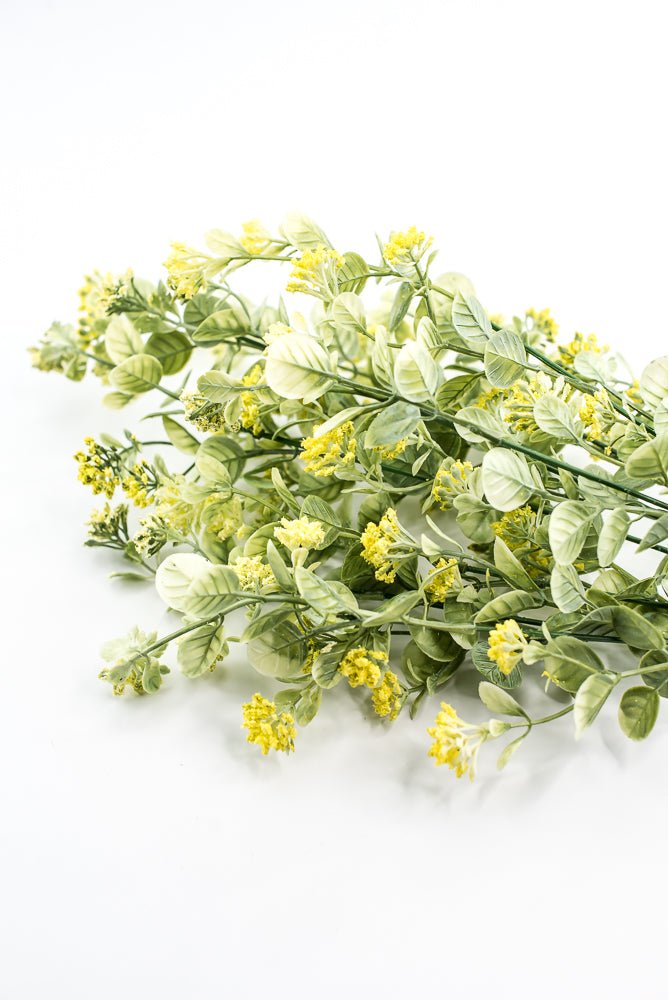 Yellow, Sedium Filler Bush - Greenery Market13635YW