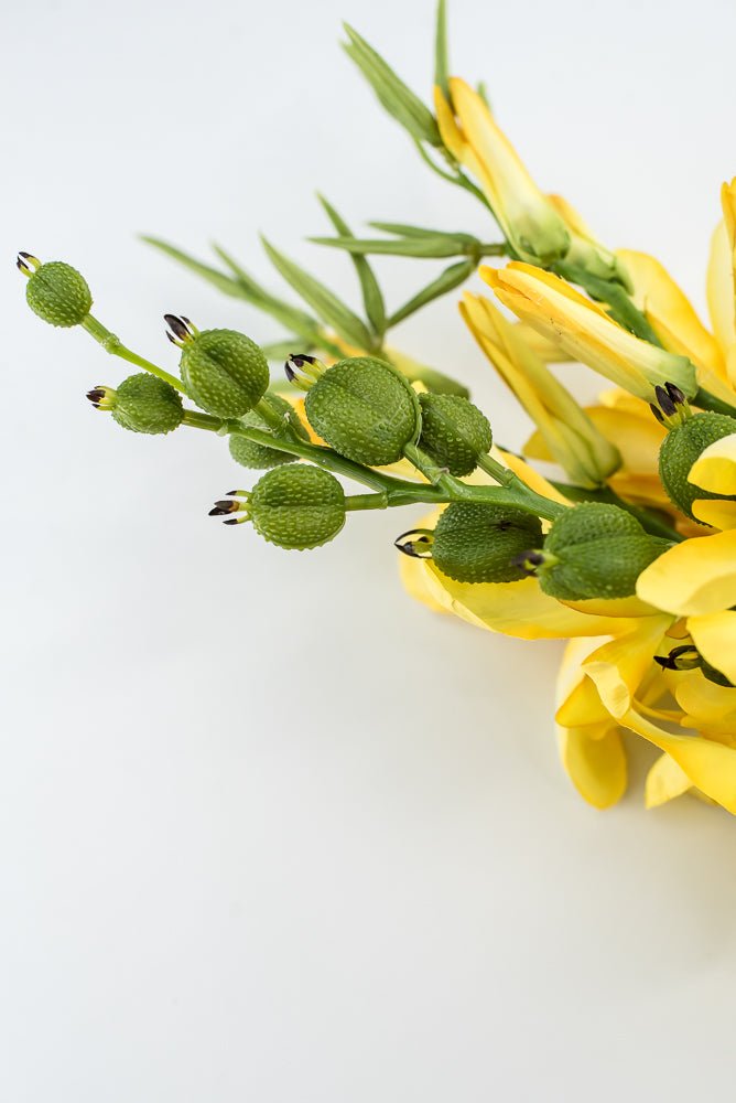 Yellow, tuberose artificial flower bundle - Greenery MarketArtificial Flora2285211YL