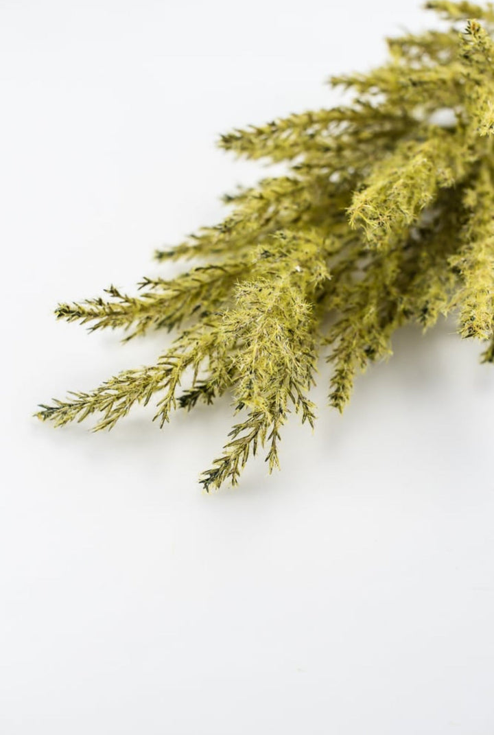 Astilbe stem - green - Greenery Market83954-GN