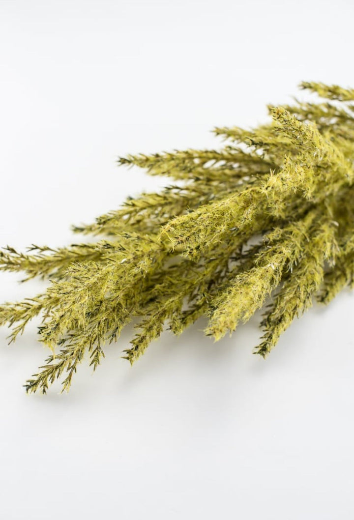 Astilbe stem - green - Greenery Market83954-GN