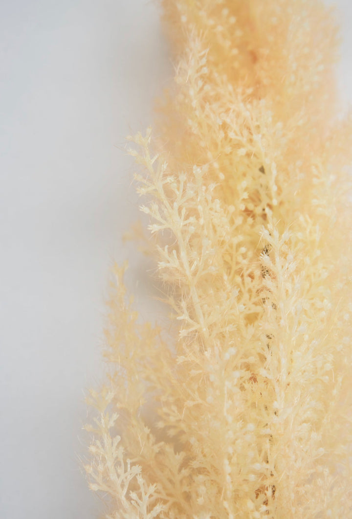 Astilbe stem - Greenery Market83953-BEIGE