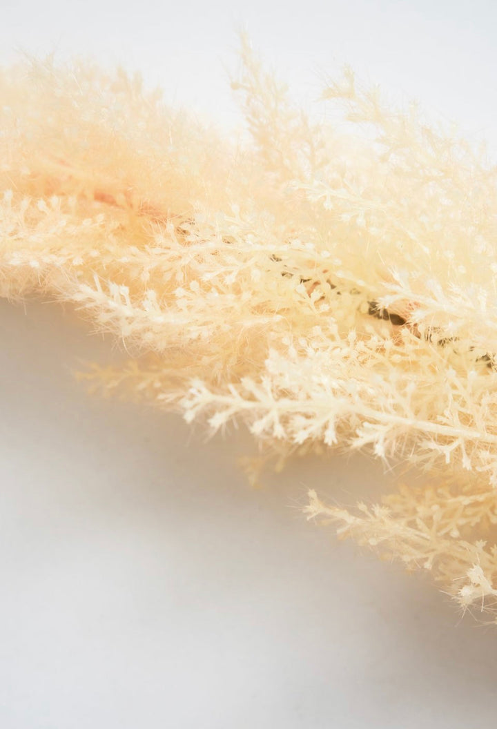 Astilbe stem - Greenery Market83953-BEIGE