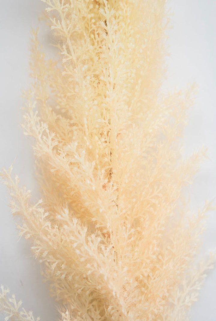 Astilbe stem - Greenery Market83953-BEIGE