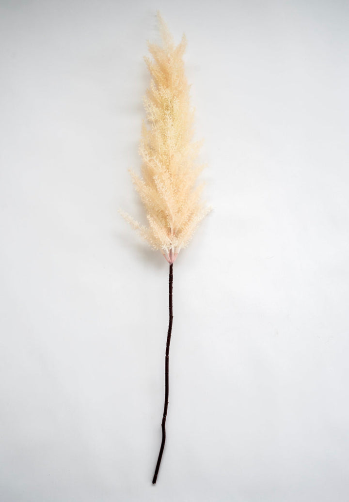 Astilbe stem - Greenery Market83953-BEIGE