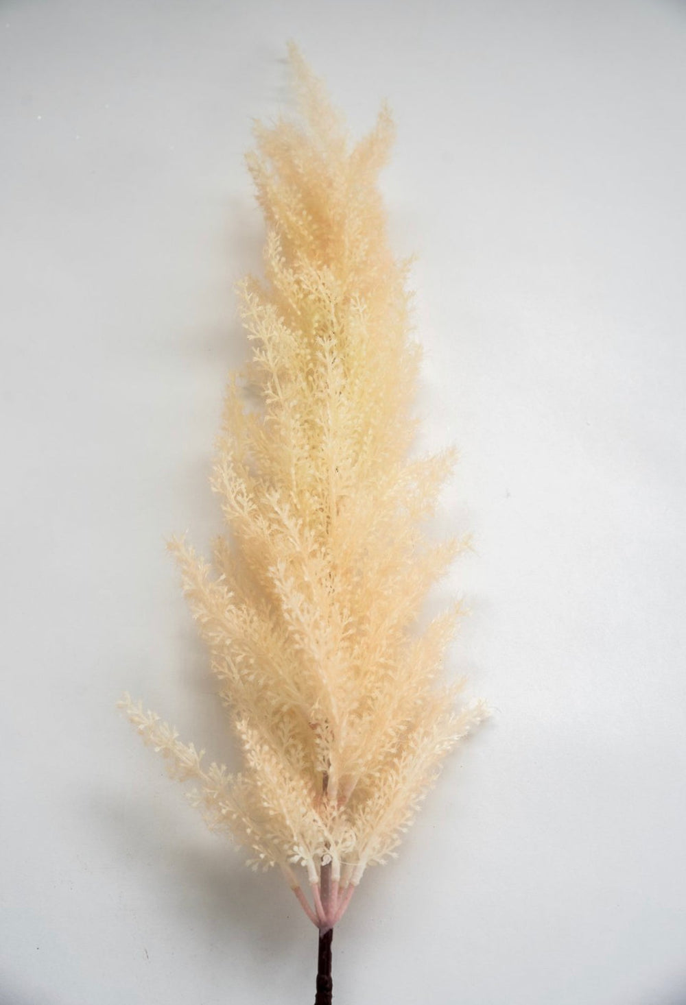Astilbe stem - Greenery Market83953-BEIGE