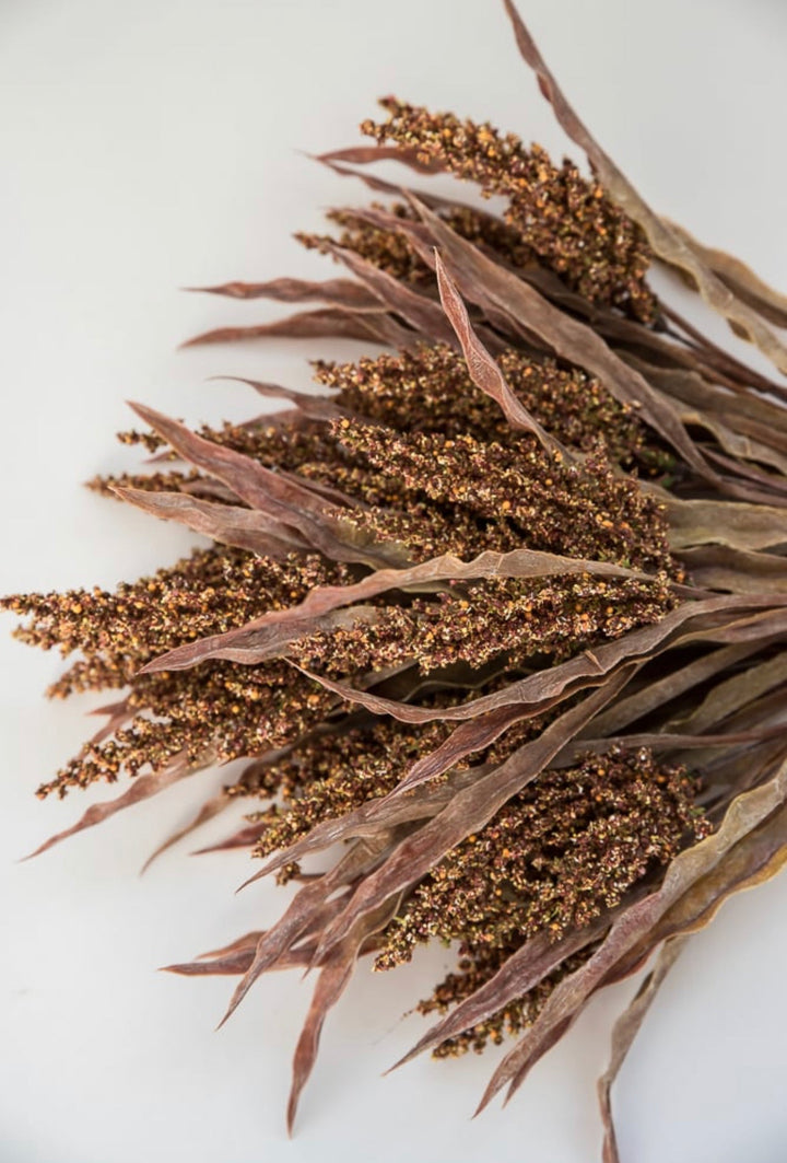 Astilbe wheat grass bush - rusty brown - Greenery MarketArtificial Flora26473