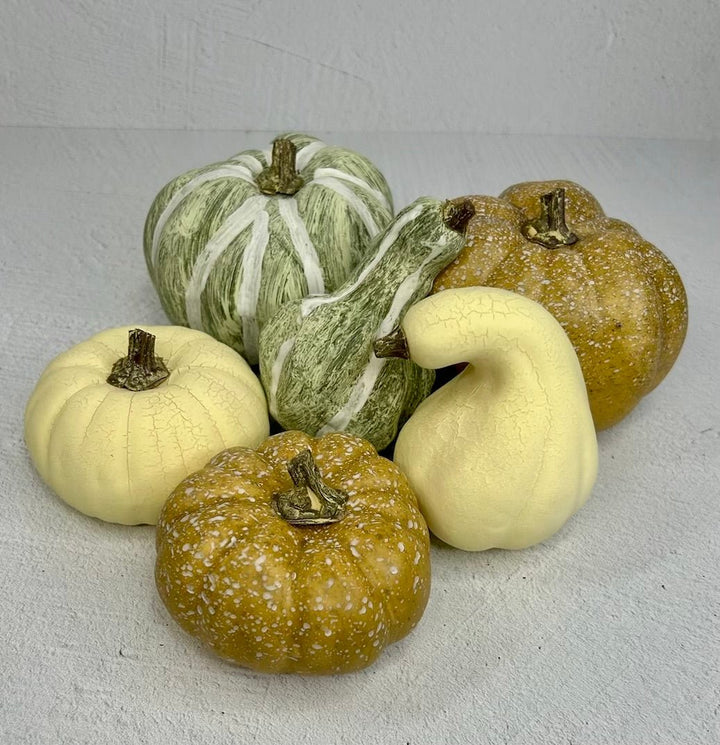 Bag of cream, beige, tan and sage green Pumpkins - Greenery Market81367