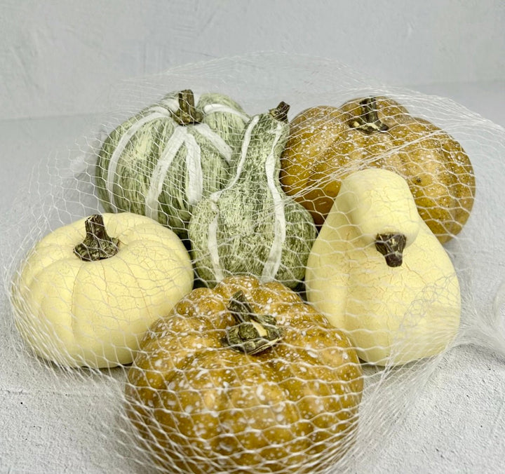 Bag of cream, beige, tan and sage green Pumpkins - Greenery Market81367