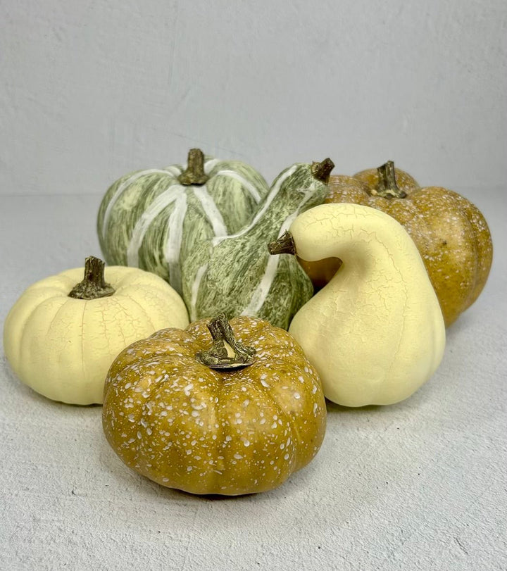 Bag of cream, beige, tan and sage green Pumpkins - Greenery Market81367