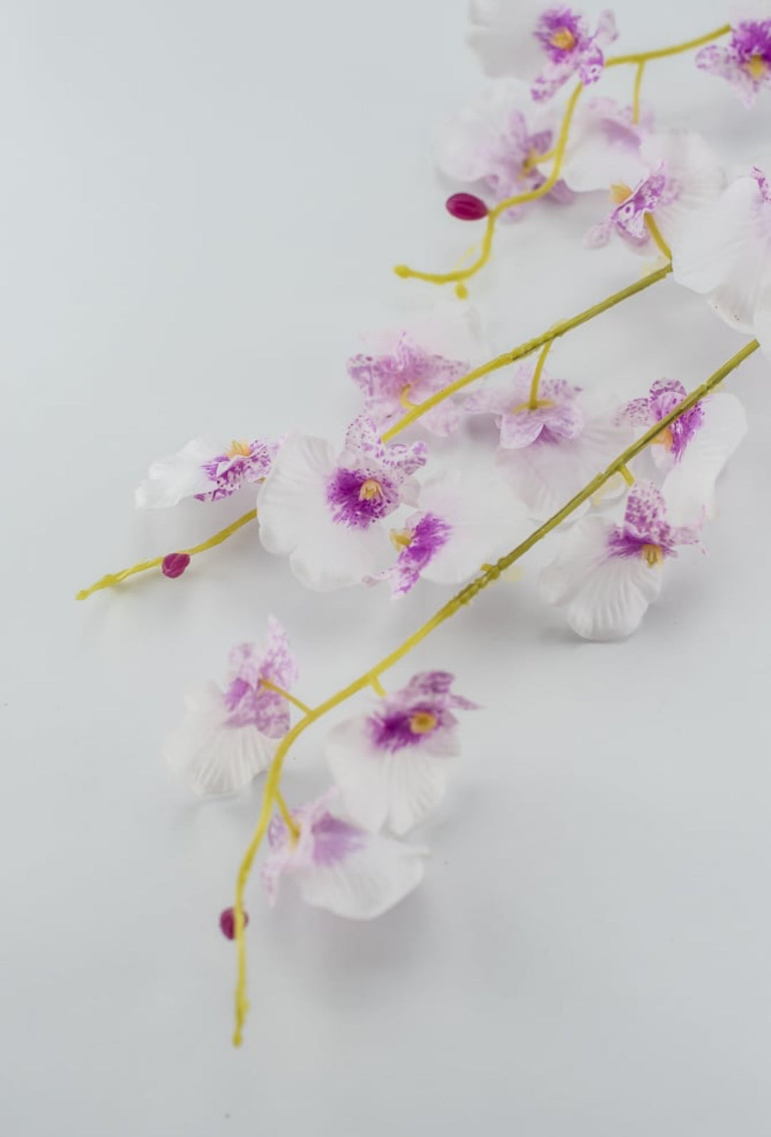 Dancing orchid Flower spray - pink white - real touch - Greenery MarketArtificial Flora5600-PCER