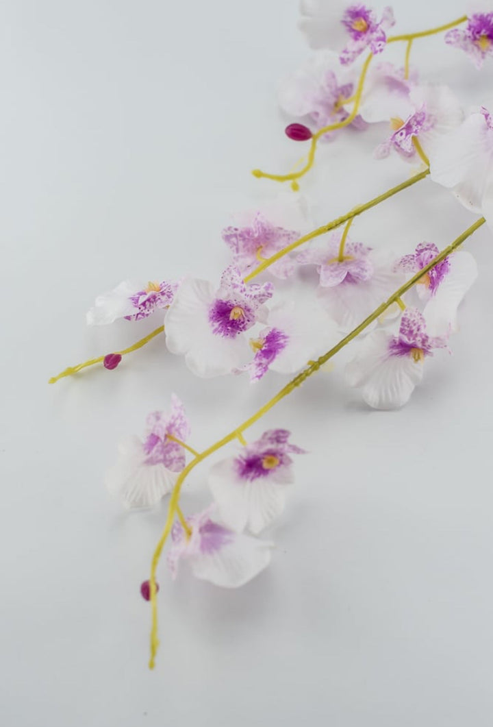 Dancing orchid Flower spray - pink white - real touch - Greenery MarketArtificial Flora5600-PCER