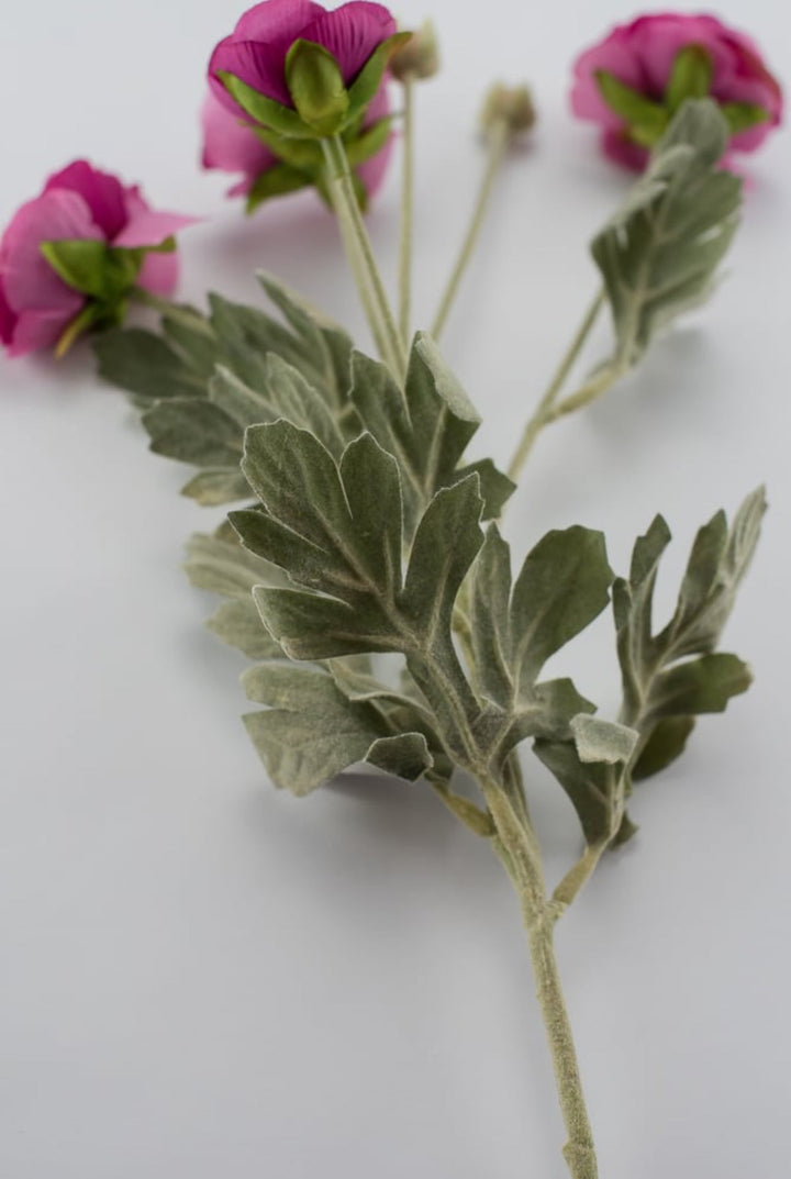 Fuchsia ranunculus spray - Greenery Market84072-FU