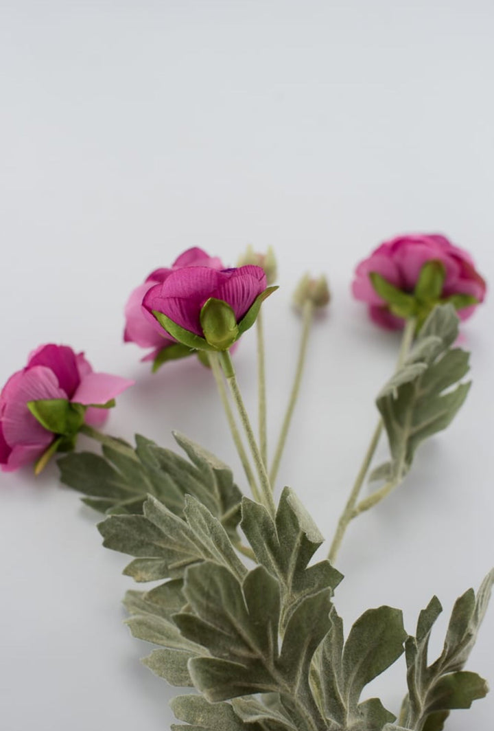 Fuchsia ranunculus spray - Greenery Market84072-FU