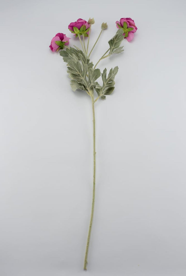 Fuchsia ranunculus spray - Greenery Market84072-FU