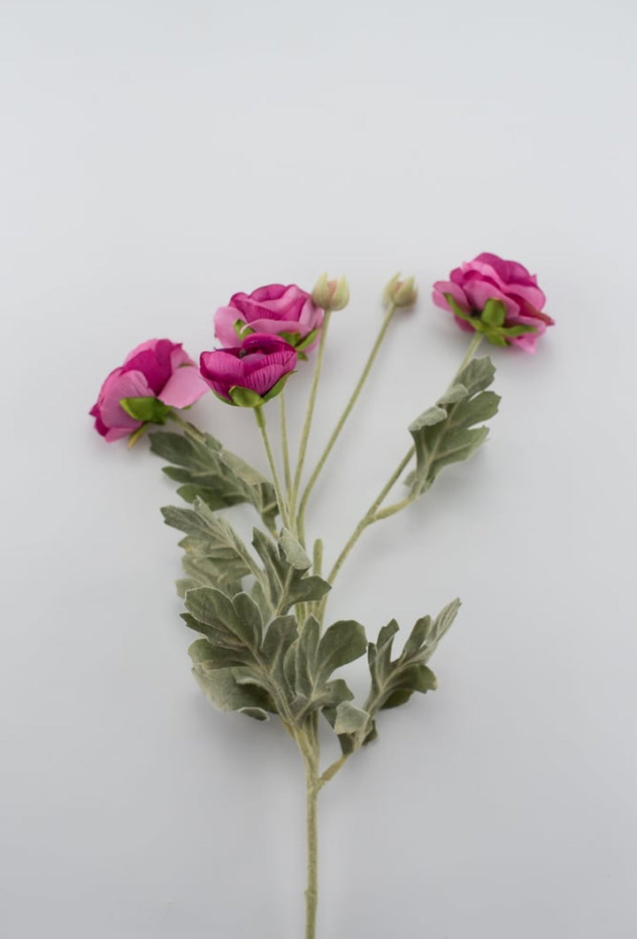 Fuchsia ranunculus spray - Greenery Market84072-FU