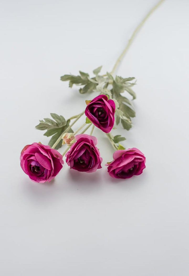 Fuchsia ranunculus spray - Greenery Market84072-FU