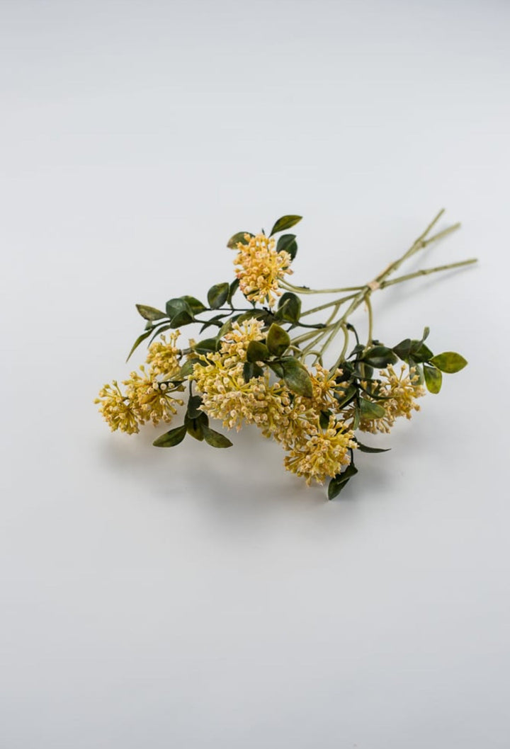 Golden yellow cluster berry bush - Greenery Market26690