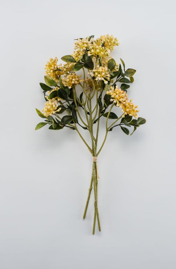 Golden yellow cluster berry bush - Greenery Market26690