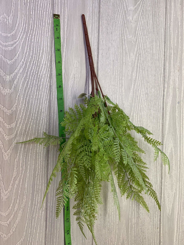 Gray green fern Bush x 2 bushes - Greenery Market greenery