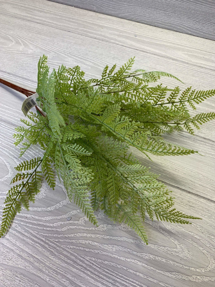 Gray green fern Bush x 2 bushes - Greenery Market greenery