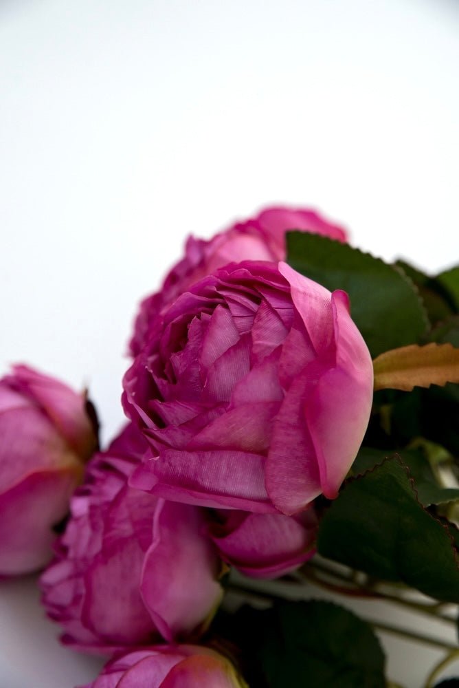 Magenta cabbage rose bush - Greenery Marketartificial flowers27182