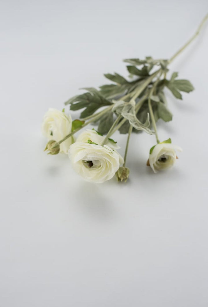 Off white ranunculus spray - Greenery Market84072-CR
