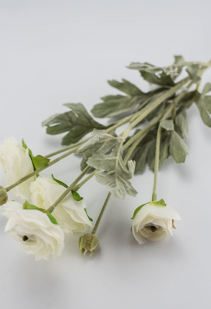 Off white ranunculus spray - Greenery Market84072-CR