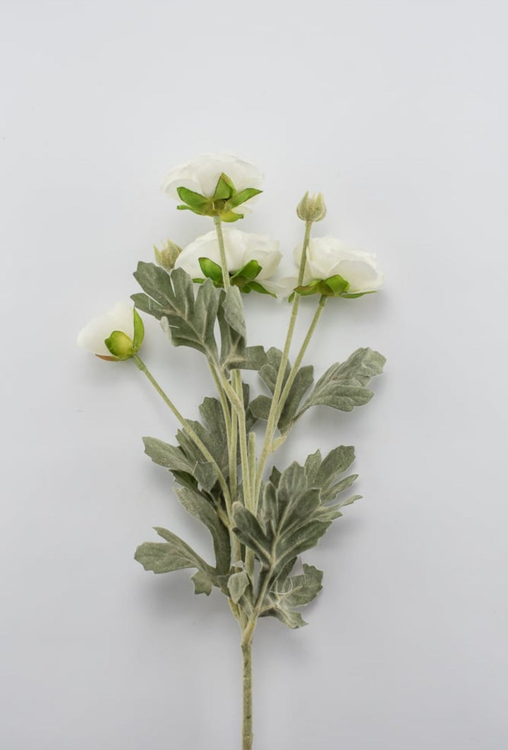 Off white ranunculus spray - Greenery Market84072-CR