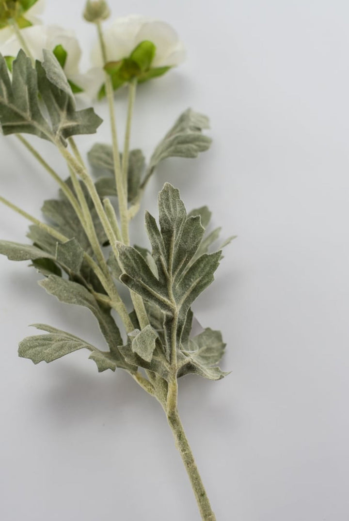 Off white ranunculus spray - Greenery Market84072-CR