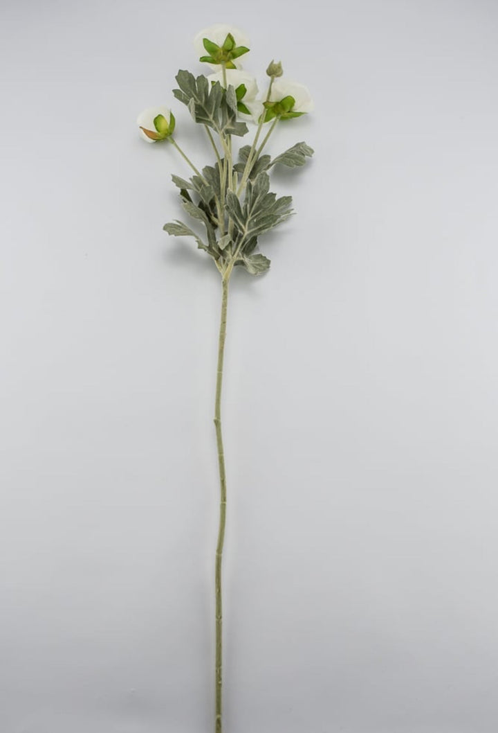 Off white ranunculus spray - Greenery Market84072-CR