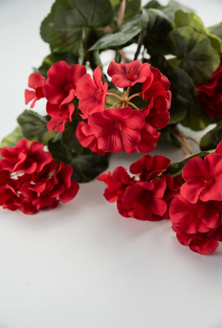 Red Geranium, Artificial geraniums - Greenery Marketartificial flowers30631rd