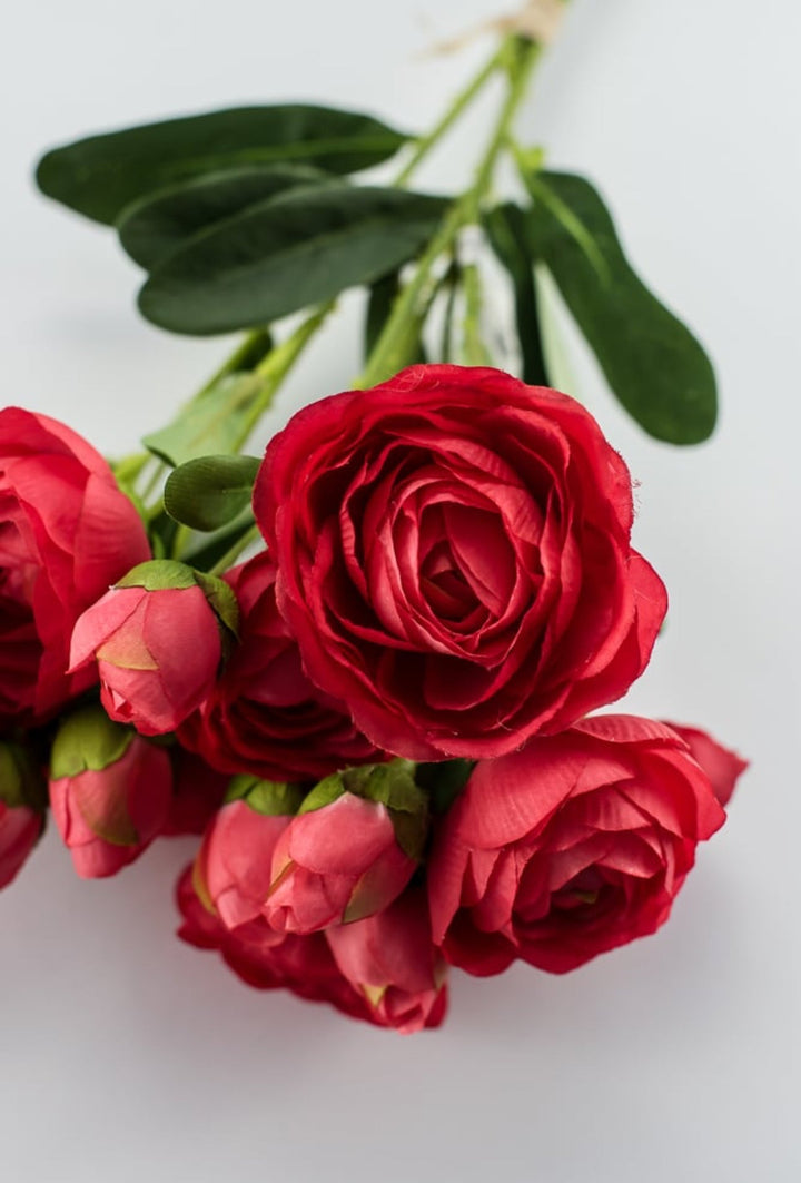 Red melon ranunculus bundle - Greenery Marketartificial flowers26032