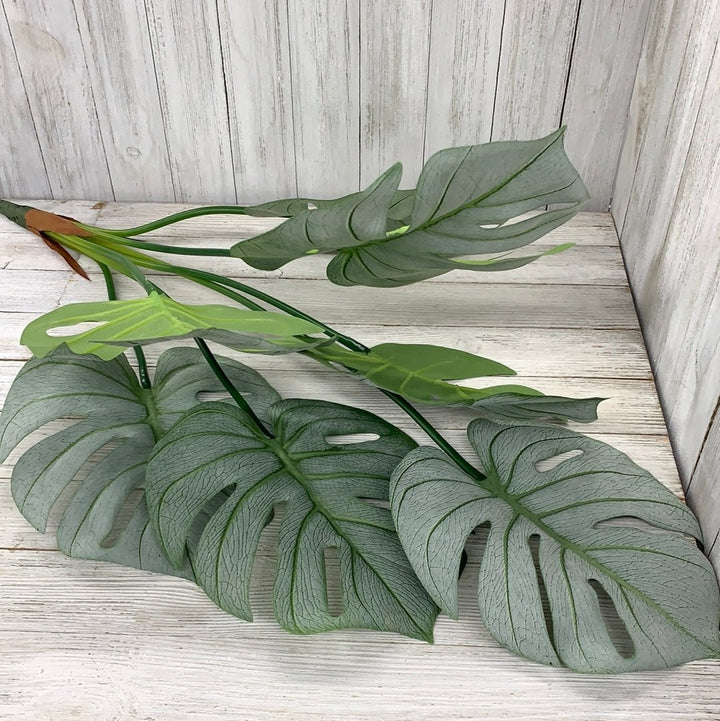 Tropical Turtle leaves plant bush - Greenery Market greenery