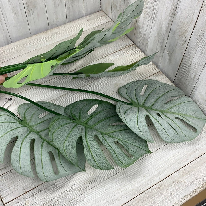 Tropical Turtle leaves plant bush - Greenery Market greenery